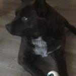 Profile picture of James